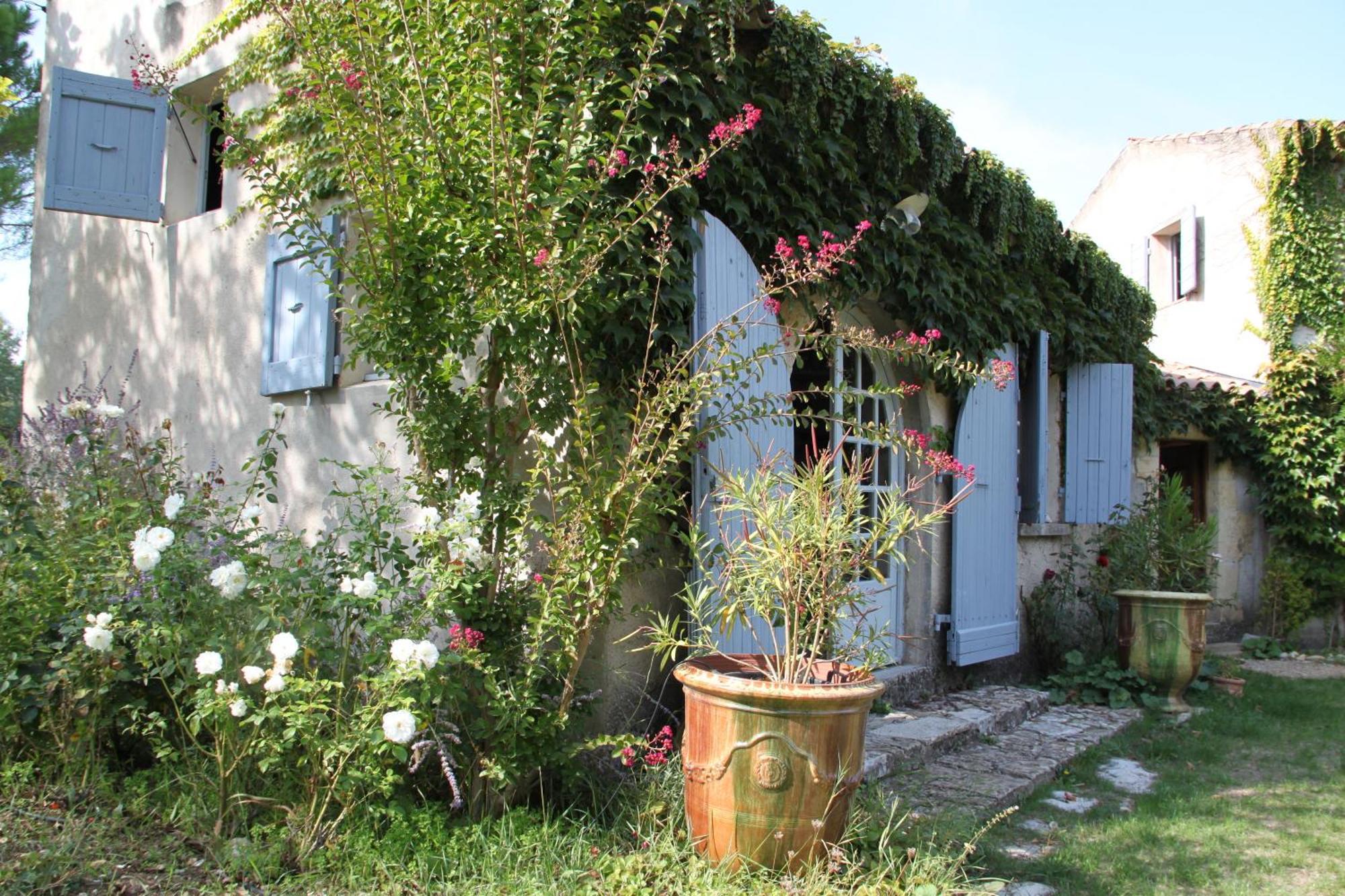 Des Pins Mane (Alpes-de-Haute-Provence)